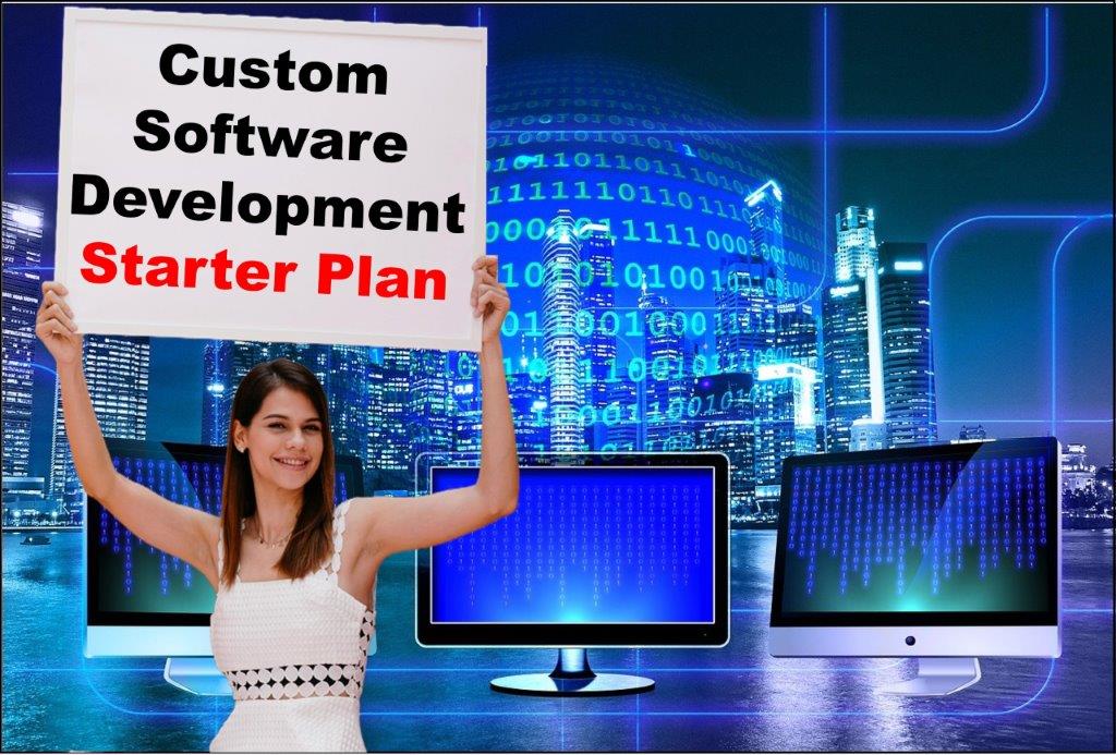 Custom Software Development in Delhi