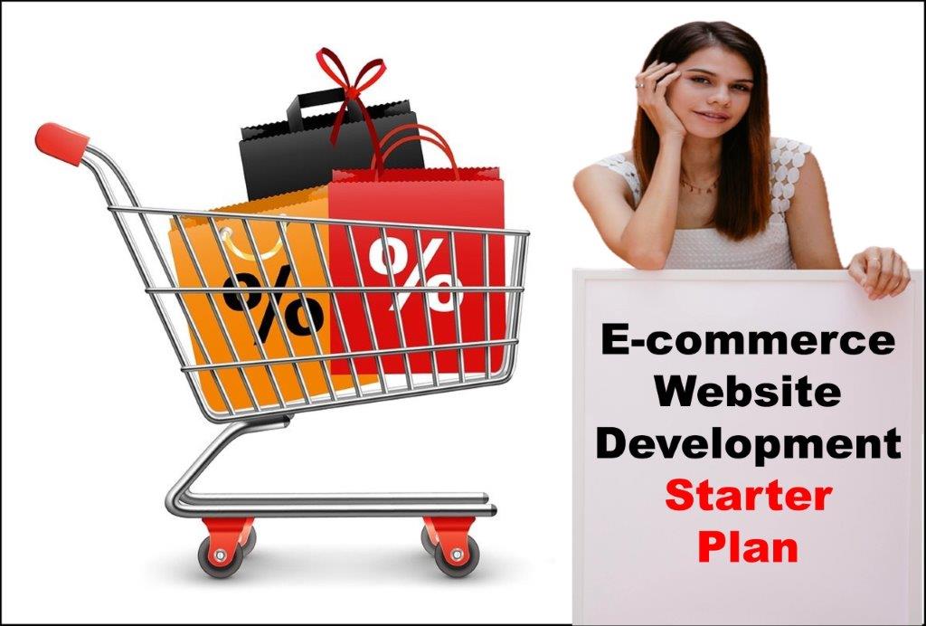 E-Commerce Website Development in Delhi