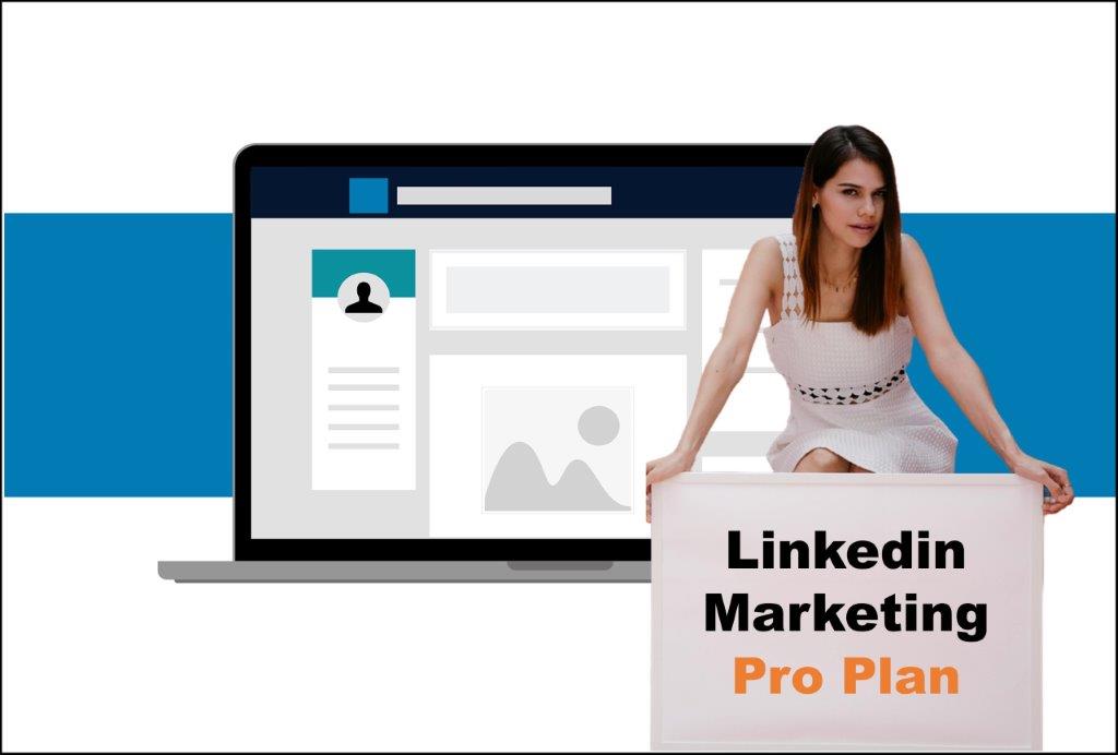 linkedin marketing agency in Delhi