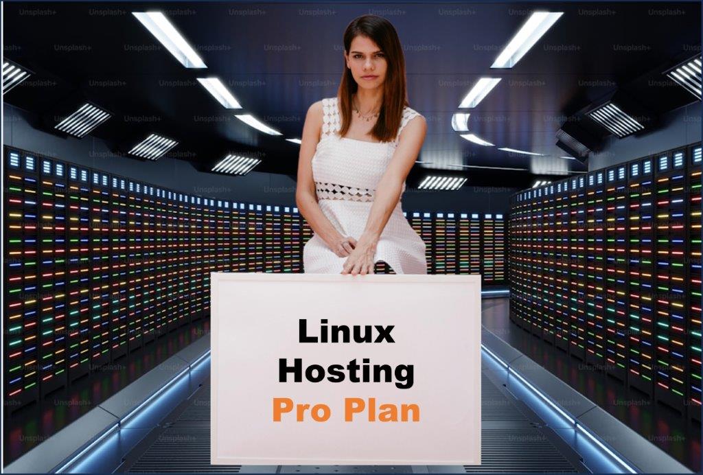 linux hosting windows hosting provider in Delhi