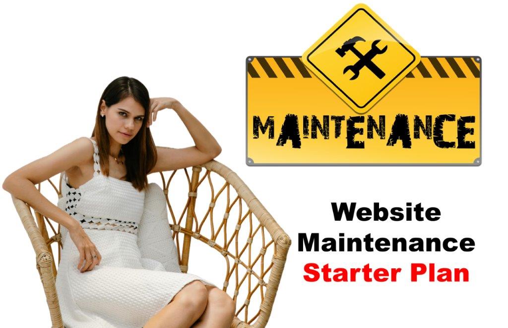 Website Maintenance in Delhi